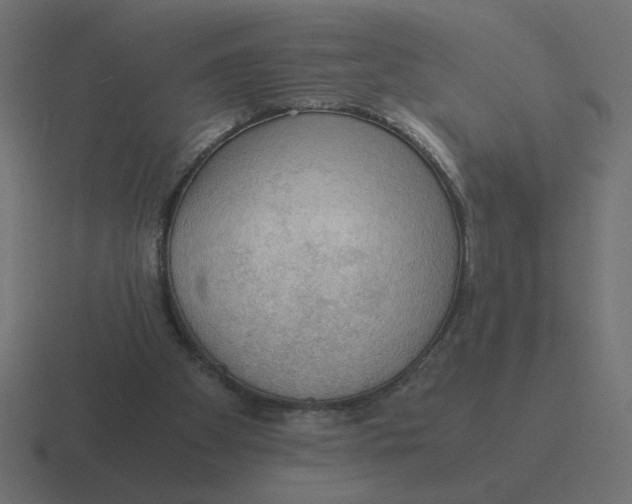 X0000116440105200912291936