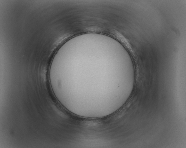 X0000116440106200912291936