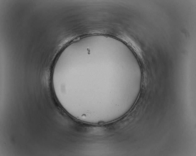 X0000116440107200912291935