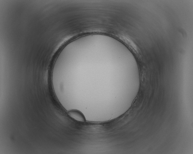 X0000116440108200912291935