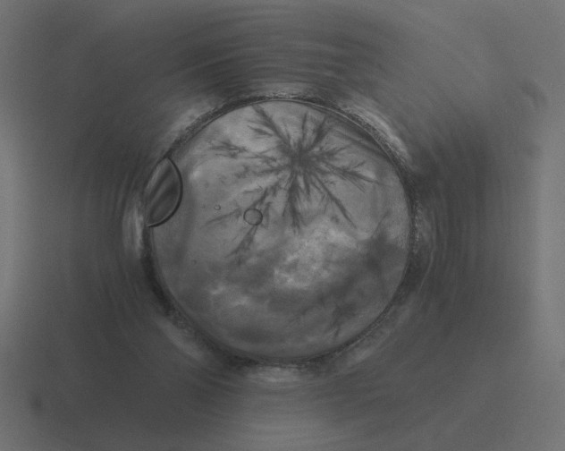 X0000116440110200912291935