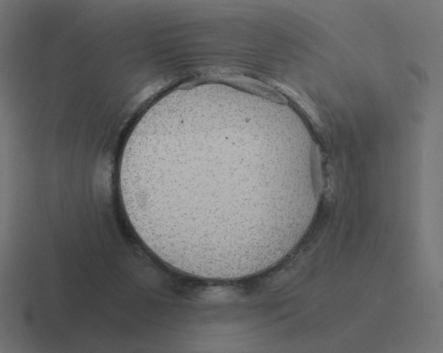 X0000116440111200912291935