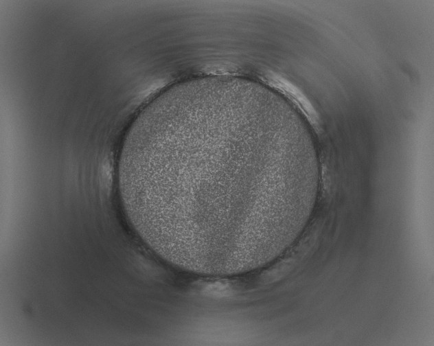 X0000116440113200912291935