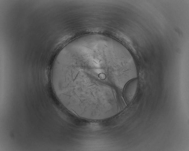 X0000116440114200912291935