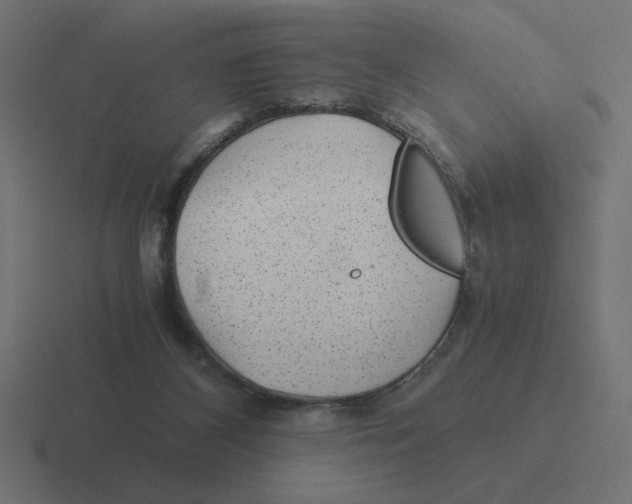 X0000116440116200912291935