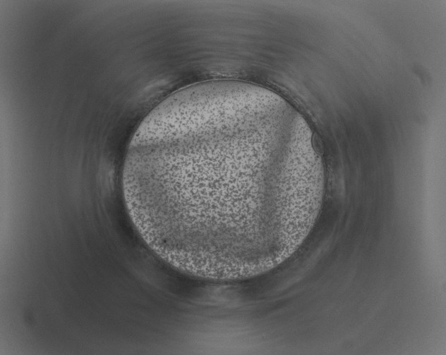 X0000116440117200912291935