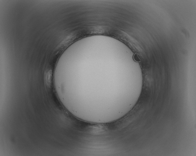 X0000116440118200912291935