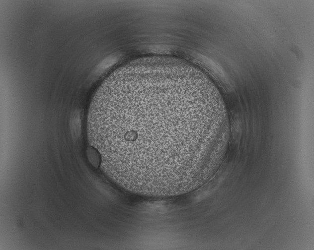 X0000116440120200912291935