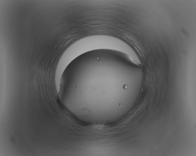 X0000116440121200912291935