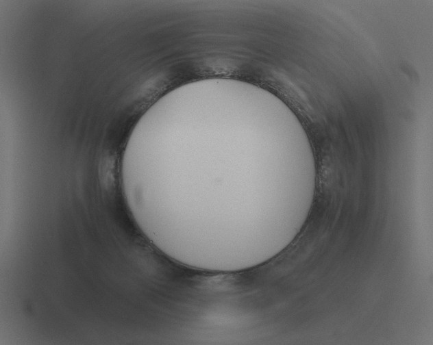 X0000116440122200912291935