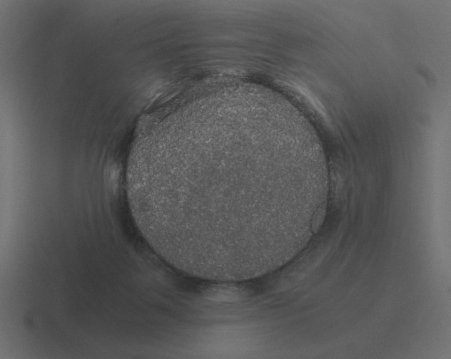 X0000116440123200912291935