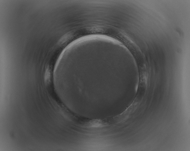 X0000116440124200912291935