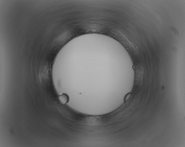 X0000116440126200912291935