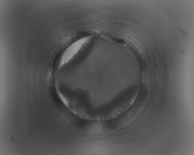 X0000116440127200912291935