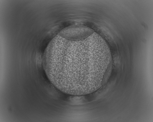 X0000116440129200912291935