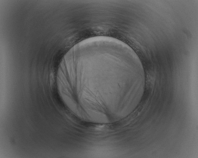 X0000116440130200912291935