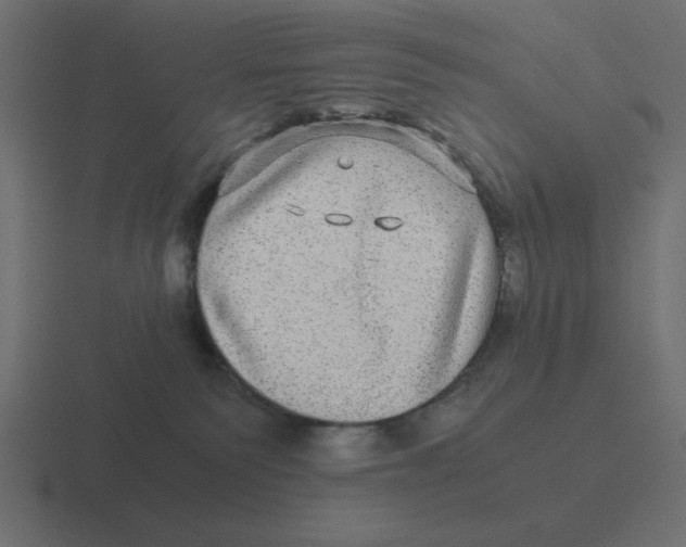 X0000116440135200912291935