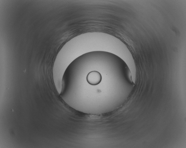 X0000116440141200912291935