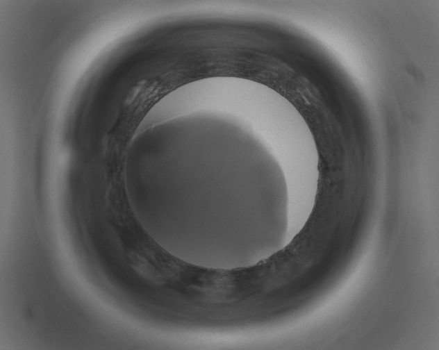 X0000116440143200912291935