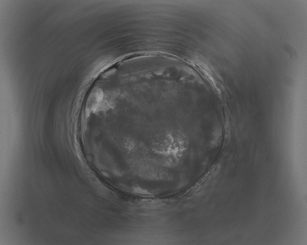 X0000116440145200912291934