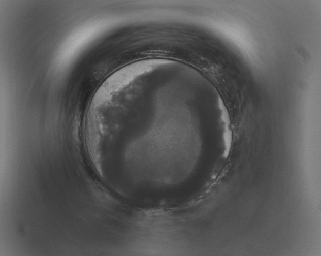 X0000116440146200912291934