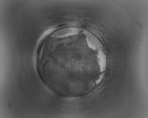 X0000116440149200912291934