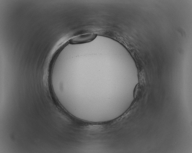 X0000116440150200912291934