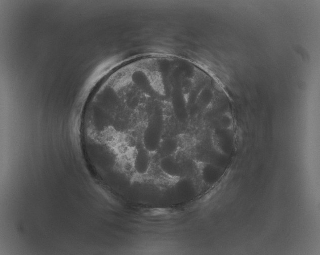 X0000116440151200912291934