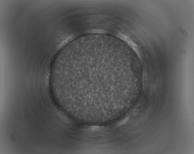 X0000116440153200912291935