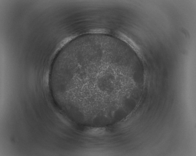 X0000116440155200912291935