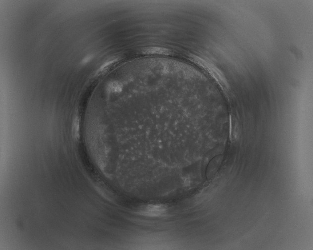 X0000116440157200912291935