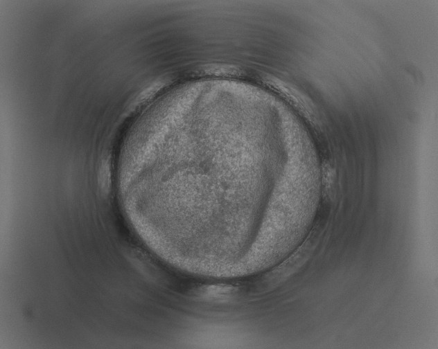 X0000116440158200912291935