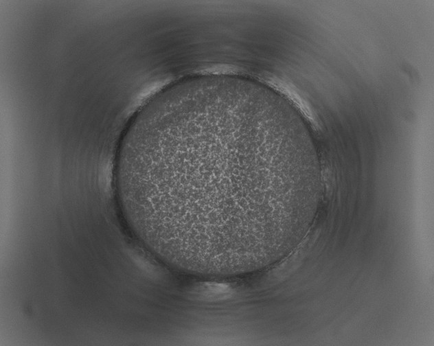 X0000116440159200912291935