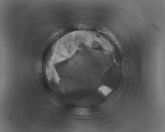 X0000116440161200912291935