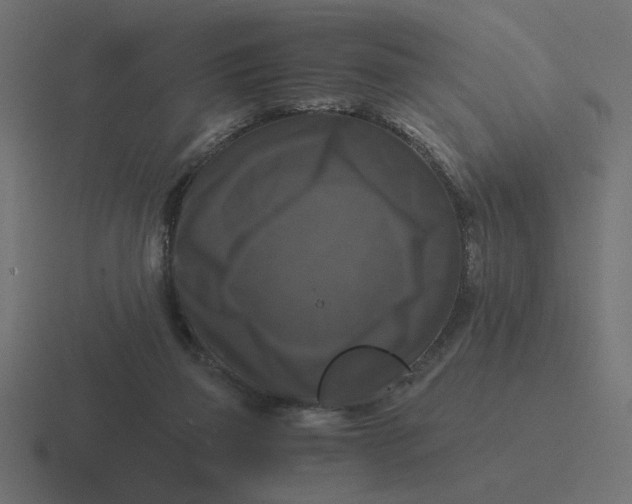 X0000116440165200912291935