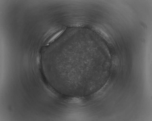 X0000116440166200912291935