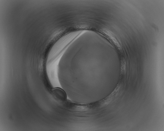 X0000116440167200912291935