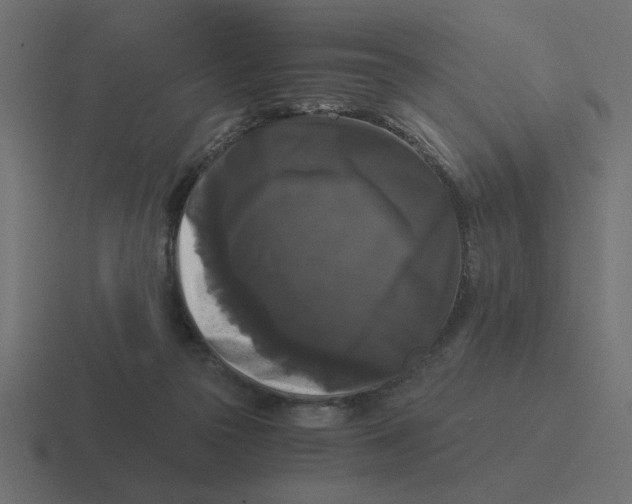 X0000116440169200912291935