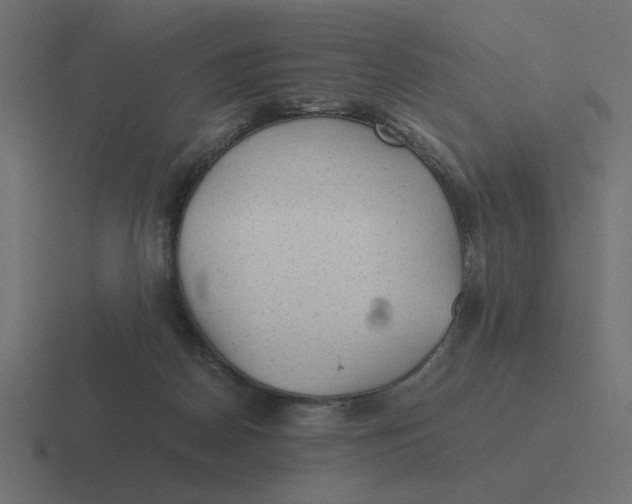 X0000116440170200912291935