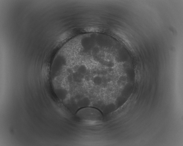 X0000116440171200912291935