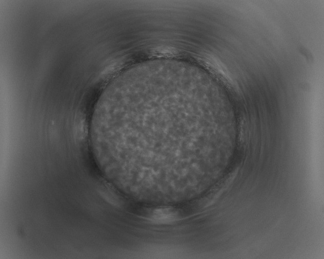 X0000116440173200912291935