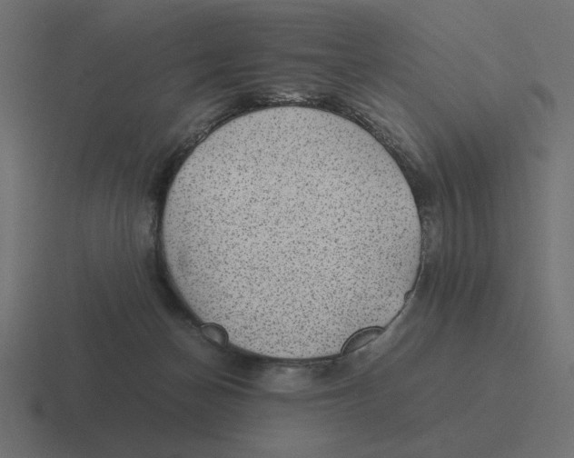 X0000116440174200912291935