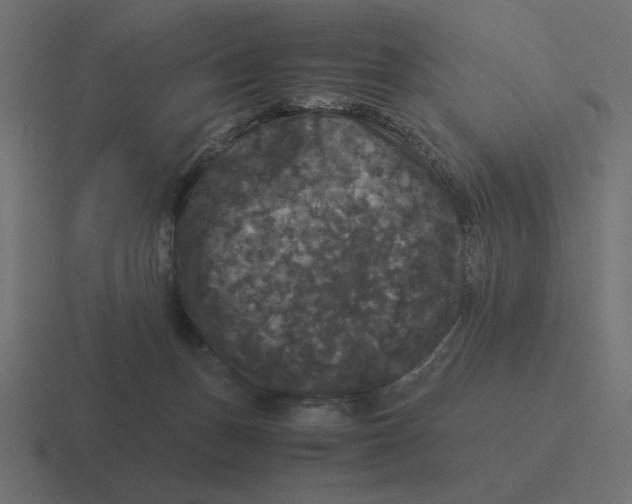 X0000116440175200912291935