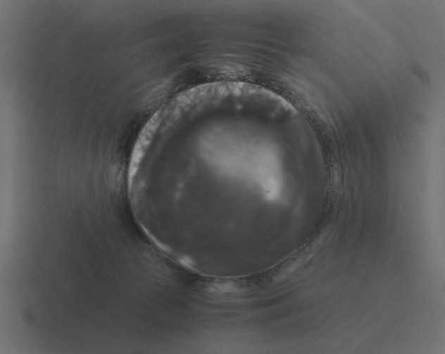 X0000116440177200912291935