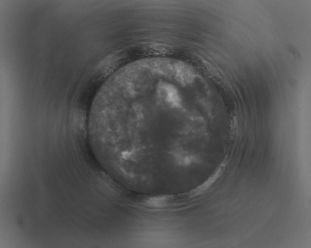 X0000116440178200912291935