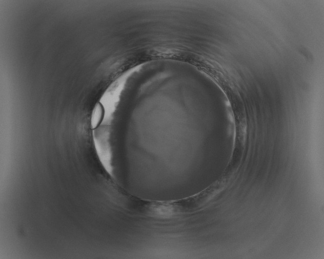 X0000116440181200912291935