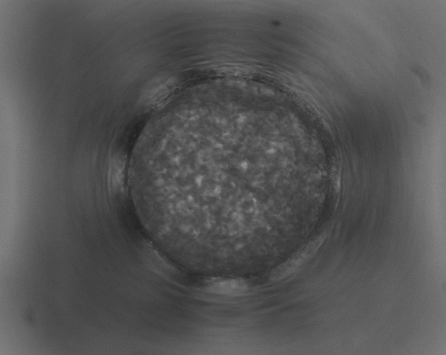 X0000116440185200912291935