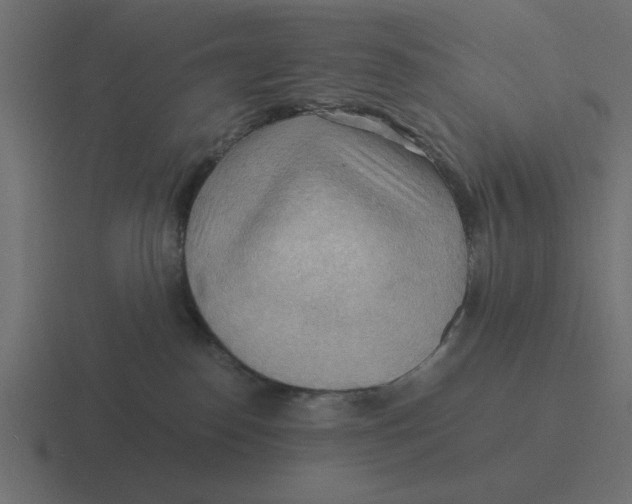 X0000116440186200912291935