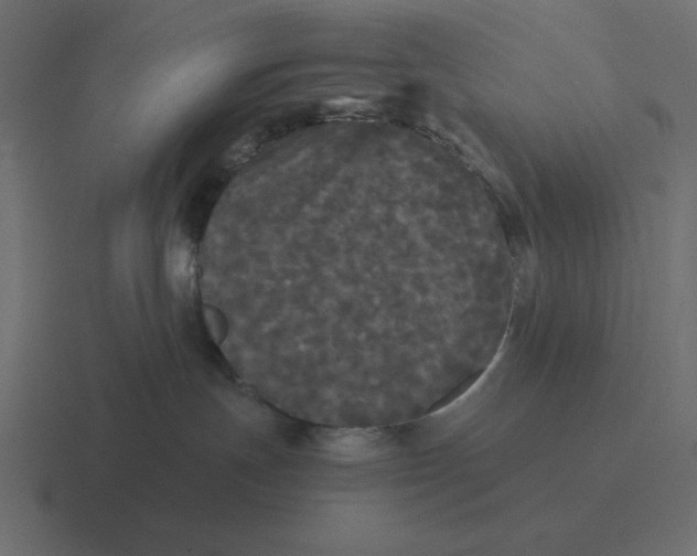 X0000116440191200912291935