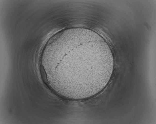 X0000116440193200912291934